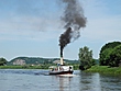 Ein echter Dampfer auf der Elbe bei Meißen